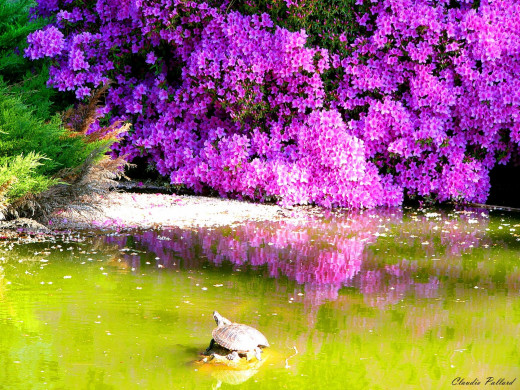 356184 (a): :1600x1200